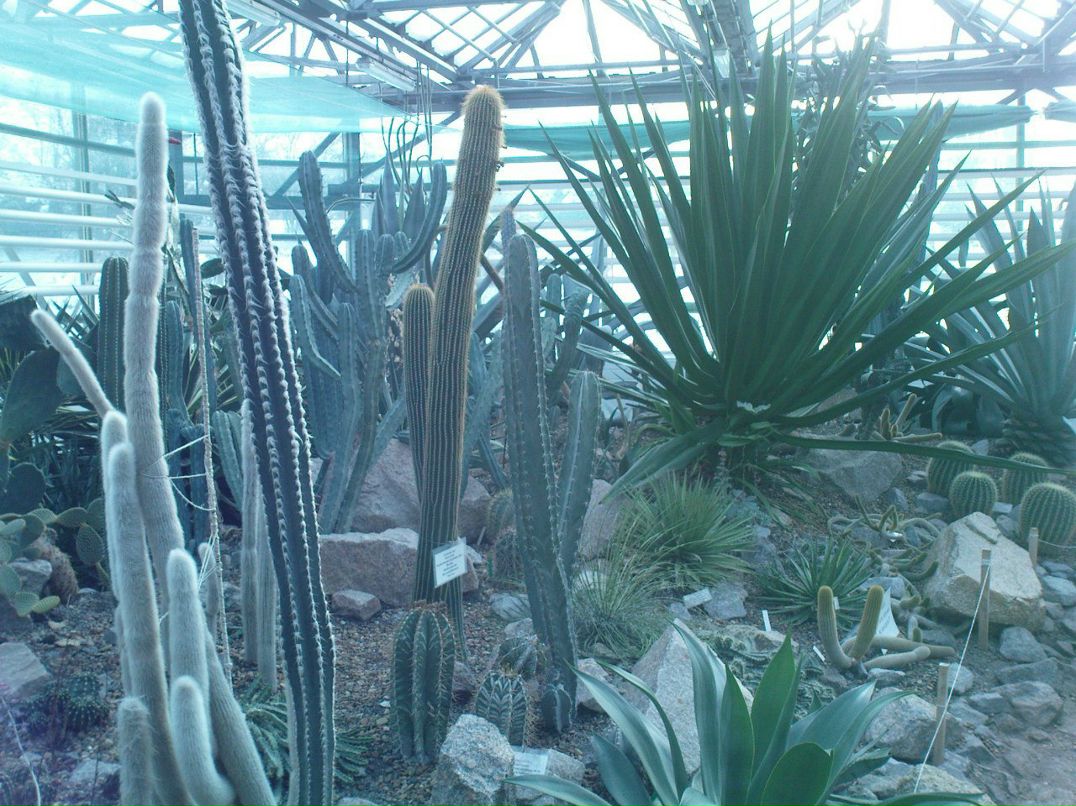 Pushing Limts | Киев