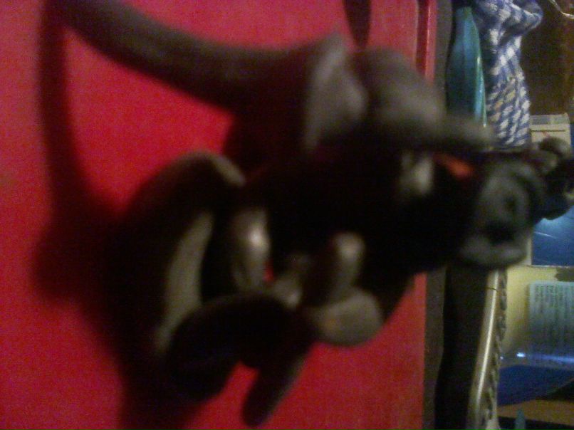 Николай Литвинов lone wolf | Москва