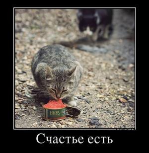 Олеся Буланик | Киев