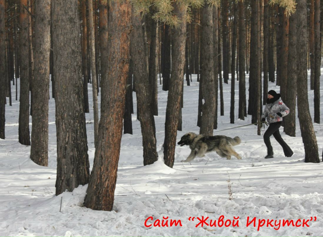 Аня Сороковикова | Ангарск