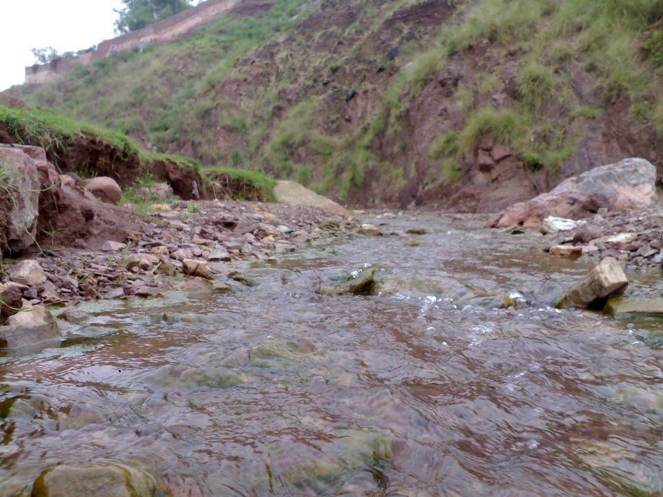 Zahid Ali | Баку