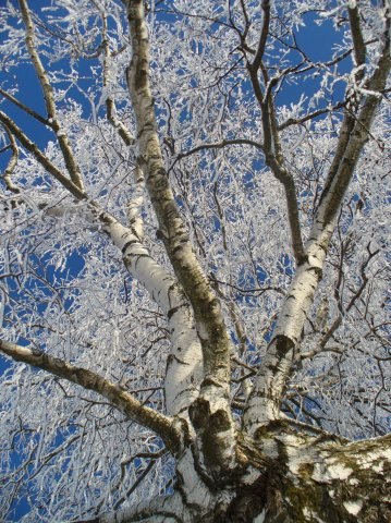 Ольга Воробьёва | Москва