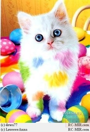 Евген Гришко | Уфа