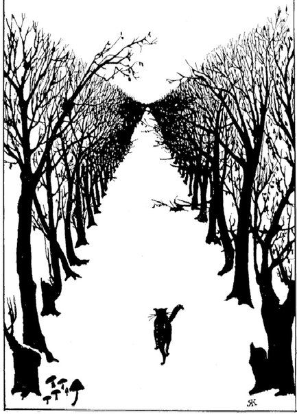 №49, Ксения Яранцева, 35 лет, Нижний Новгород №49, Ксения Яранцева, 35 лет, Нижний Новгород