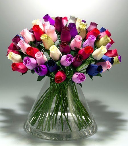 Дима Киппер | Санкт-Петербург