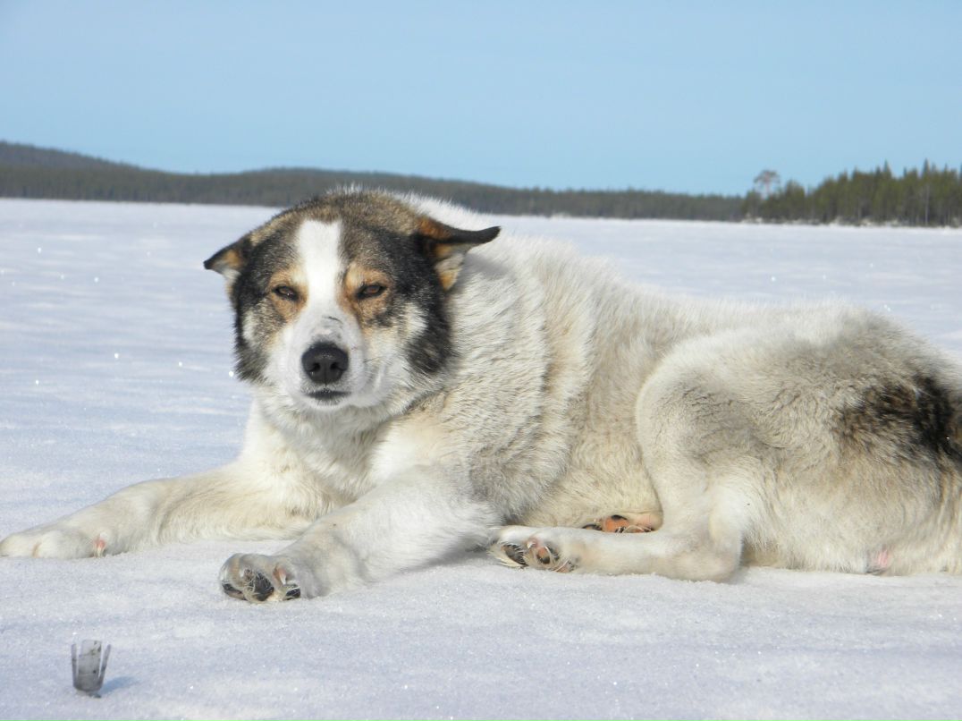 Виталик Смоленников | Чупа
