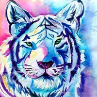 Анастасия Муравьева | Челябинск