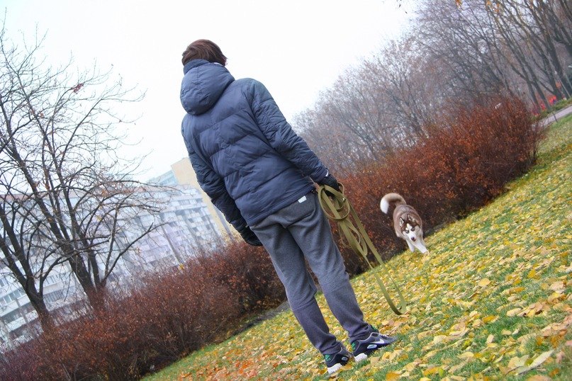 David Shapovalov | Днепр (Днепропетровск)