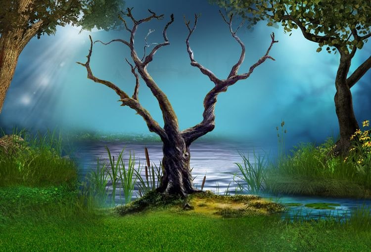 Лидия Палагина | Санкт-Петербург