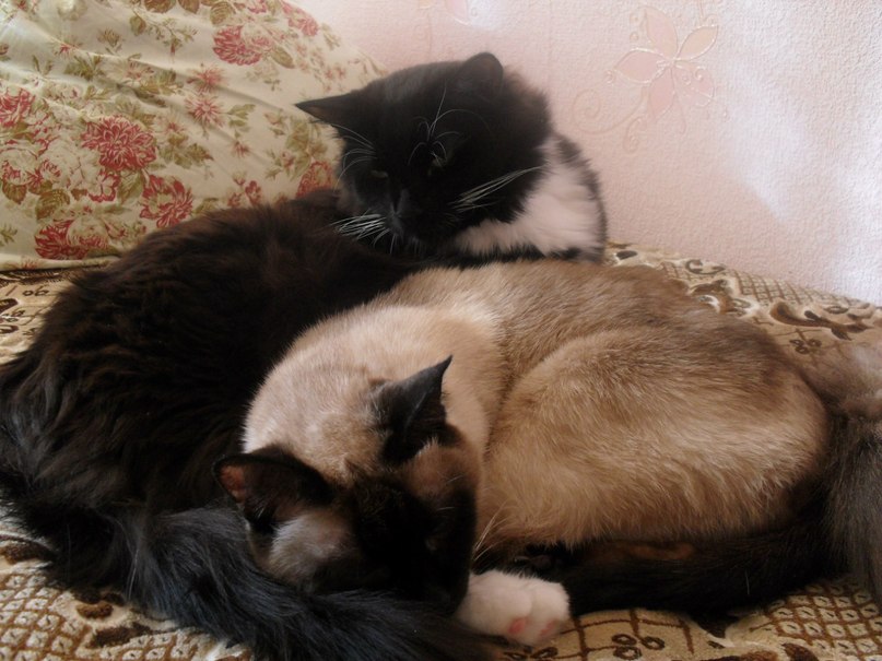 Верочка Авксентьева | Лобня