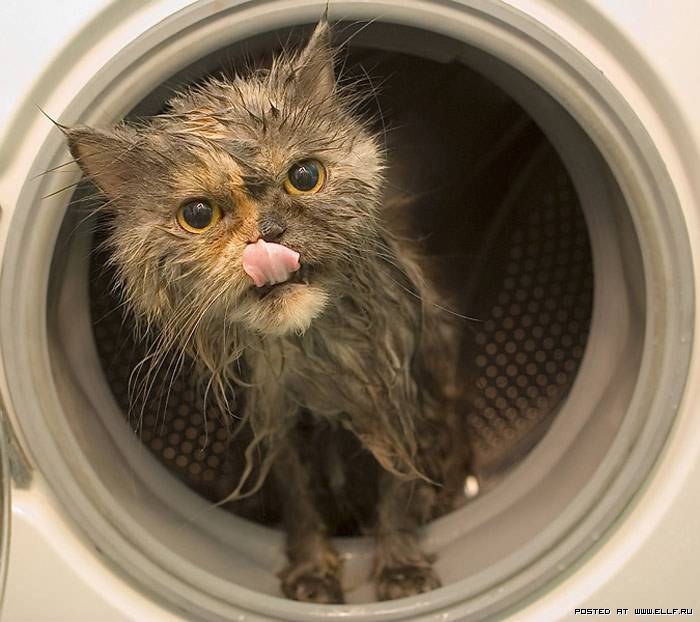 Владислав Страбыкин | 