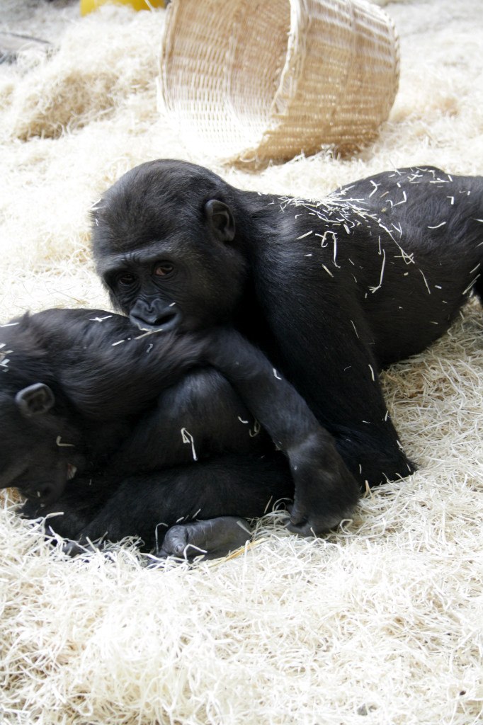 Евгения Прок | Санкт-Петербург