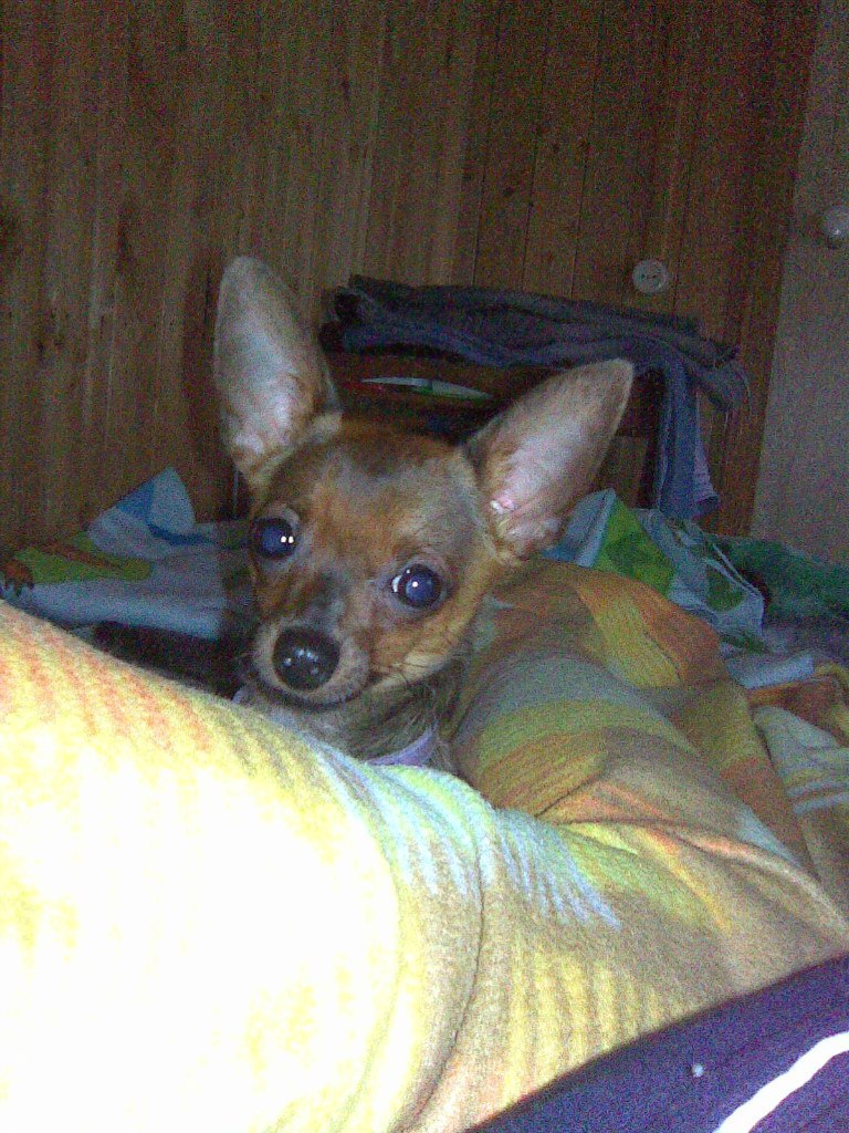 Светлана Тарасова | Москва