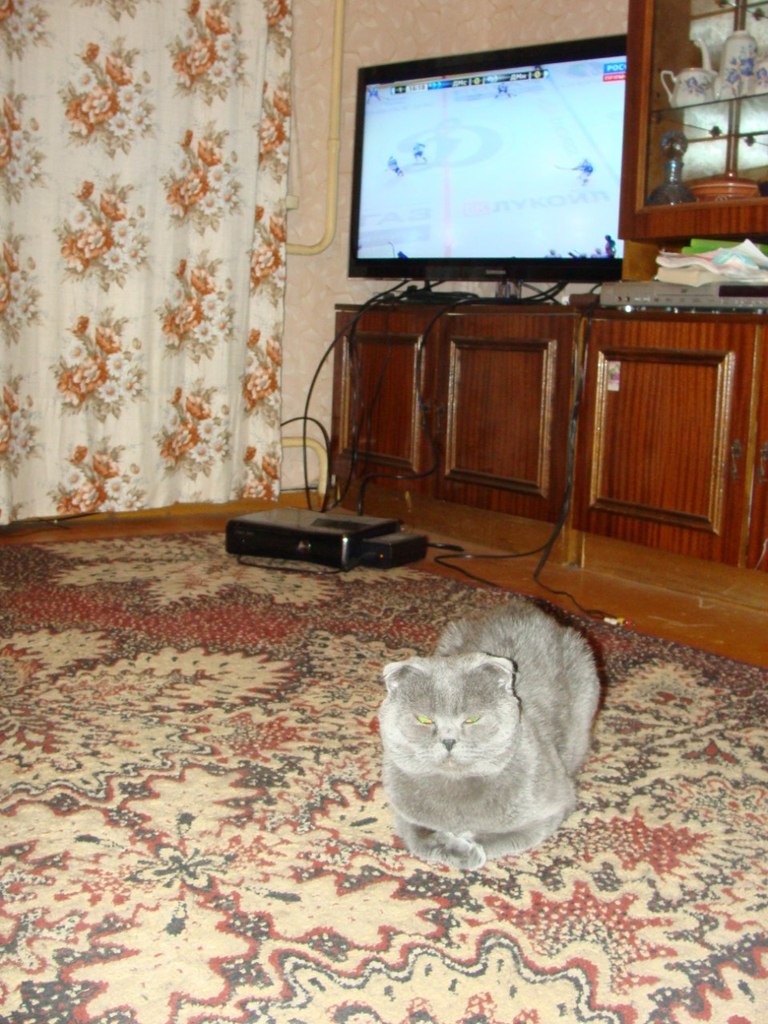 Александр Шараховский | Петрозаводск