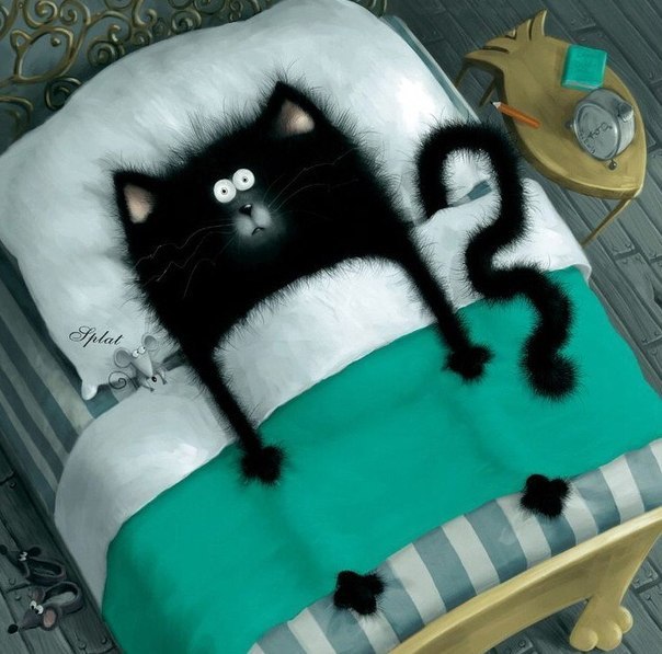 Катя Мешалкина | 