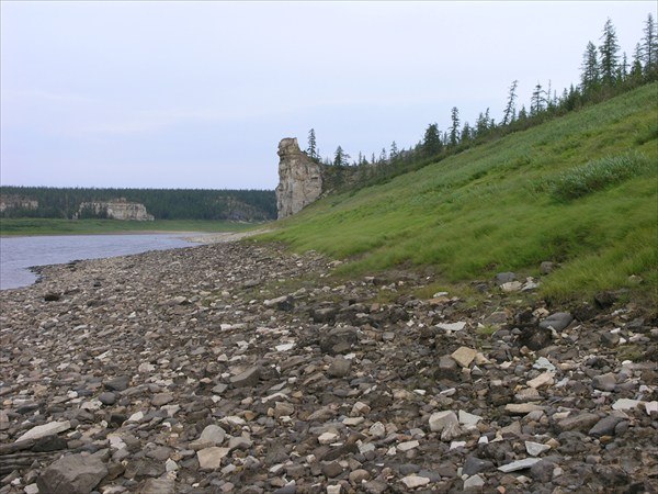 Синильга Линно | Дудино