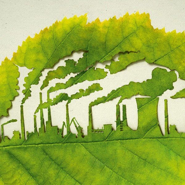 Дмитрий Душка | Ялта