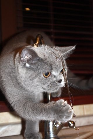 Наталья Полик | Санкт-Петербург