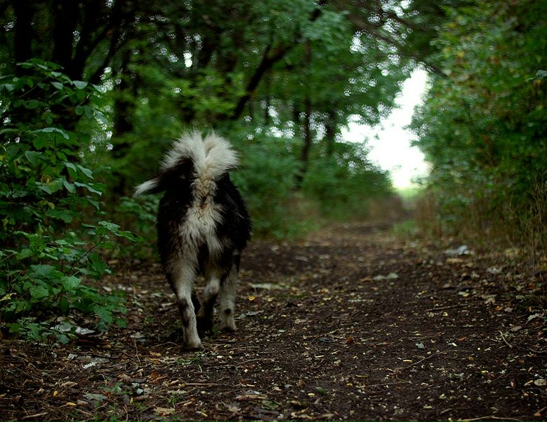 №24, Эллина Балиоз, 39 лет, Донецк №24, Эллина Балиоз, 39 лет, Донецк