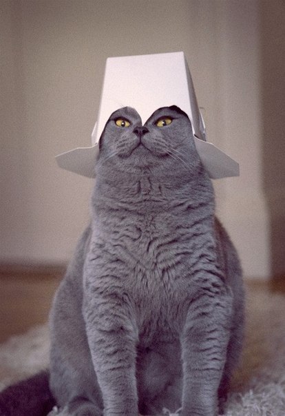 Катя Виноградова Karamba!! | Москва