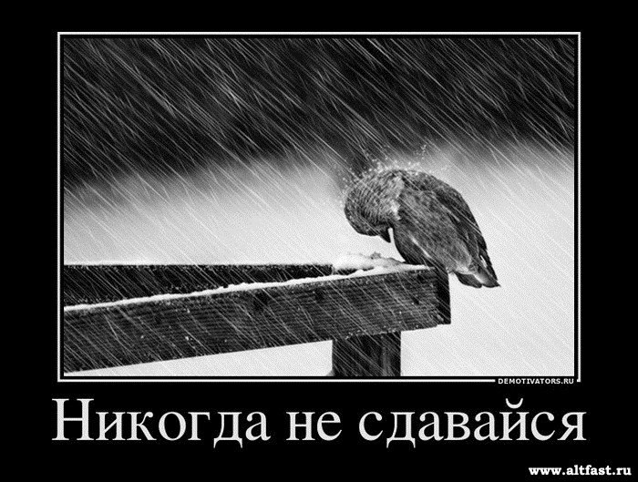 Женя Котовский | 