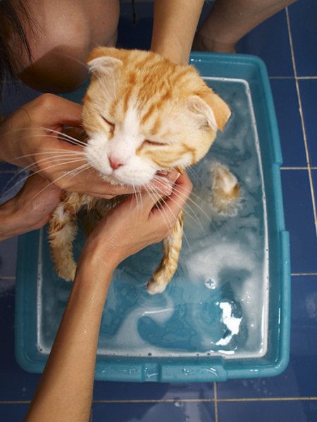 №47, Wendy Lee, Dalian №47, Wendy Lee, Dalian