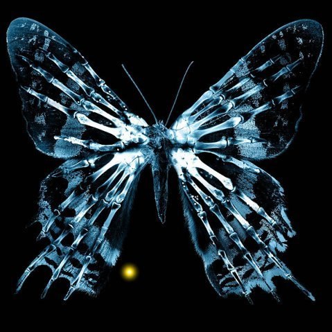 Александр Скузь | Вишневое