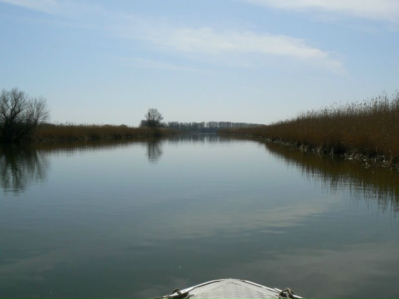 Сергей Рябов EldMaster | 