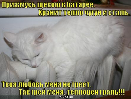 Светлана Везирова | Белая Калитва