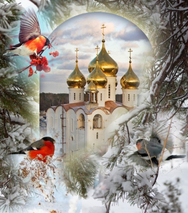 Арсен Расулов | Симферополь