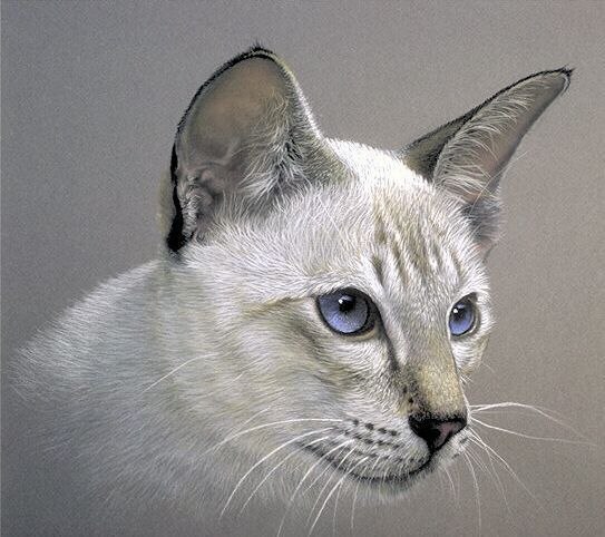 Анна Шестова | Донецк