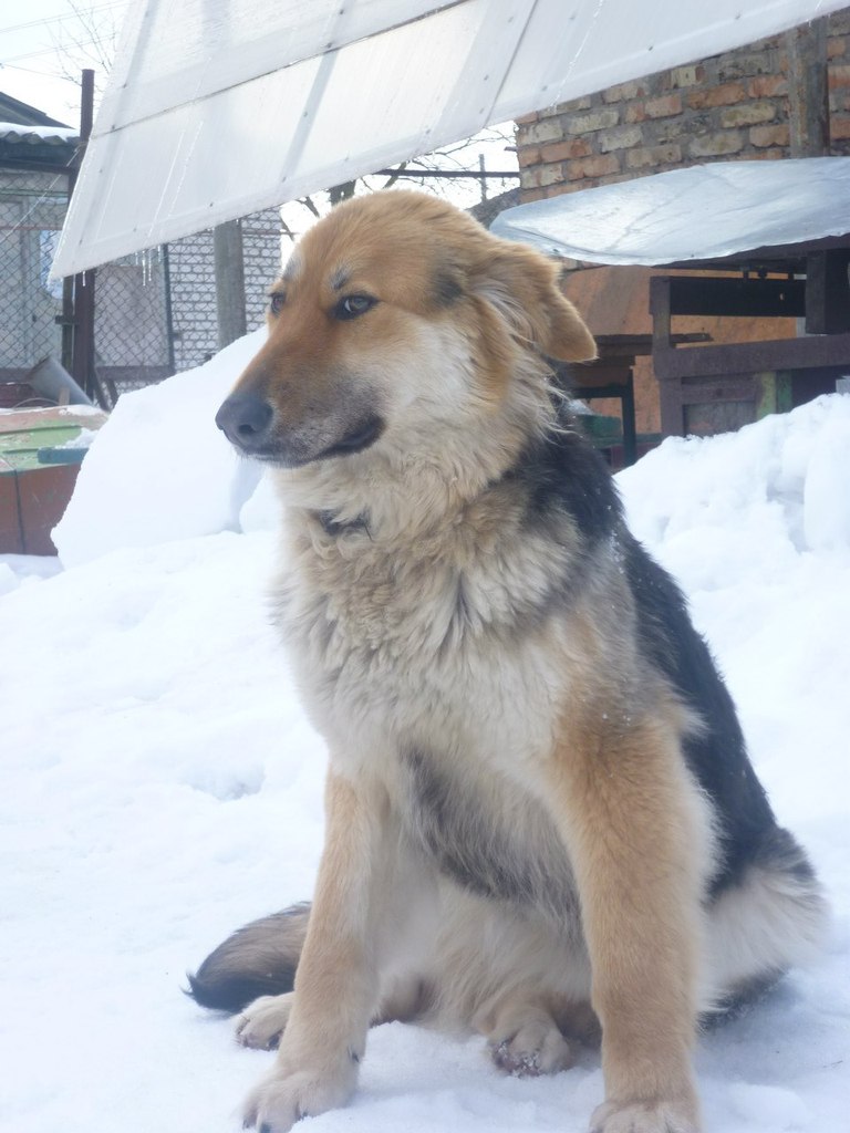 Сергей Алексеев | Псков