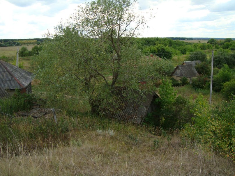 Дима Терентьев | Санкт-Петербург
