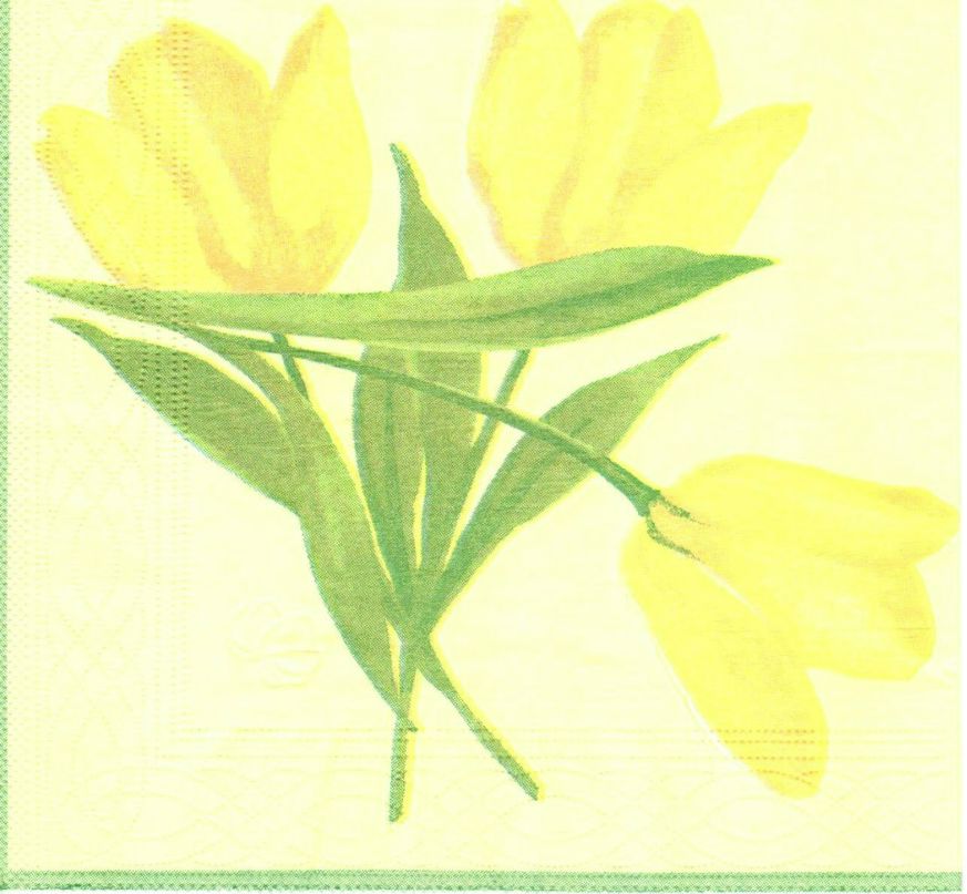 Оксана Юхно | Алматы