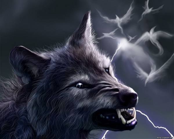 Виталий Андреев | Казань