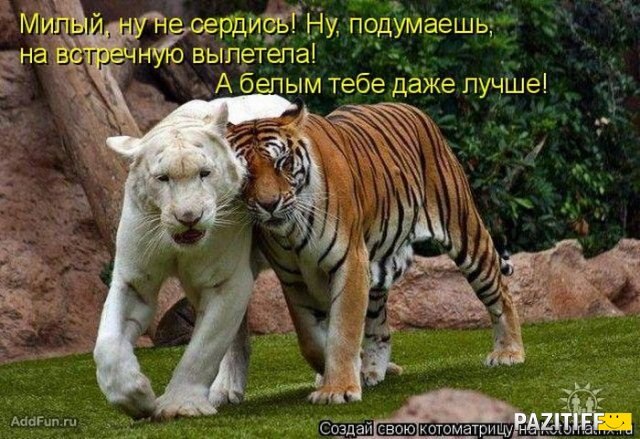 Инна Пархоменко | Павлоград