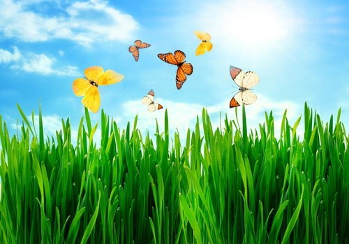 Наталья **** | Санкт-Петербург