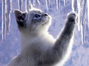 Фотография Маринка Сергей