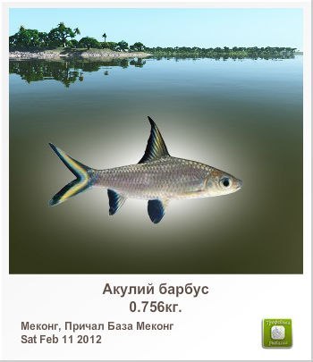 Владимир Гизатулин | 