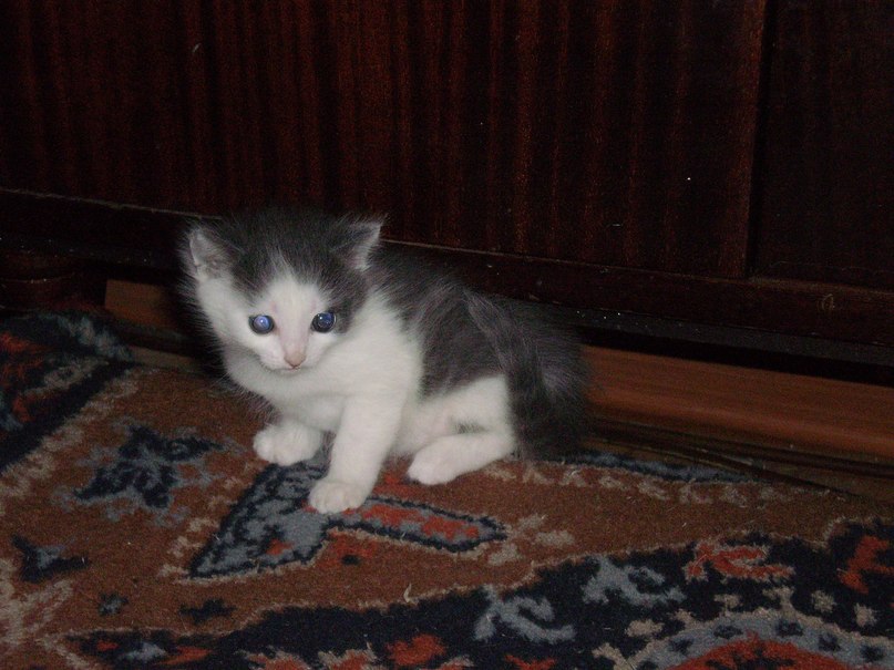 Настя Блинова | Иркутск