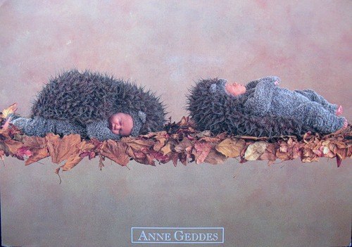 Кристина Зубавичуте | Бронницы