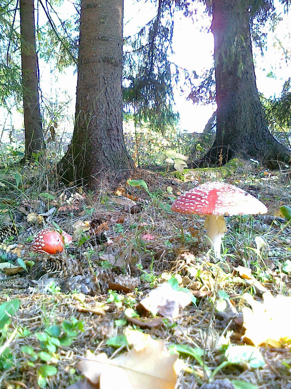 Alex Prokhorov | Москва