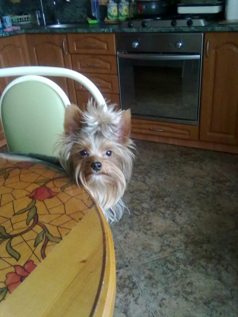 Алана Загидуллина | Черкесск