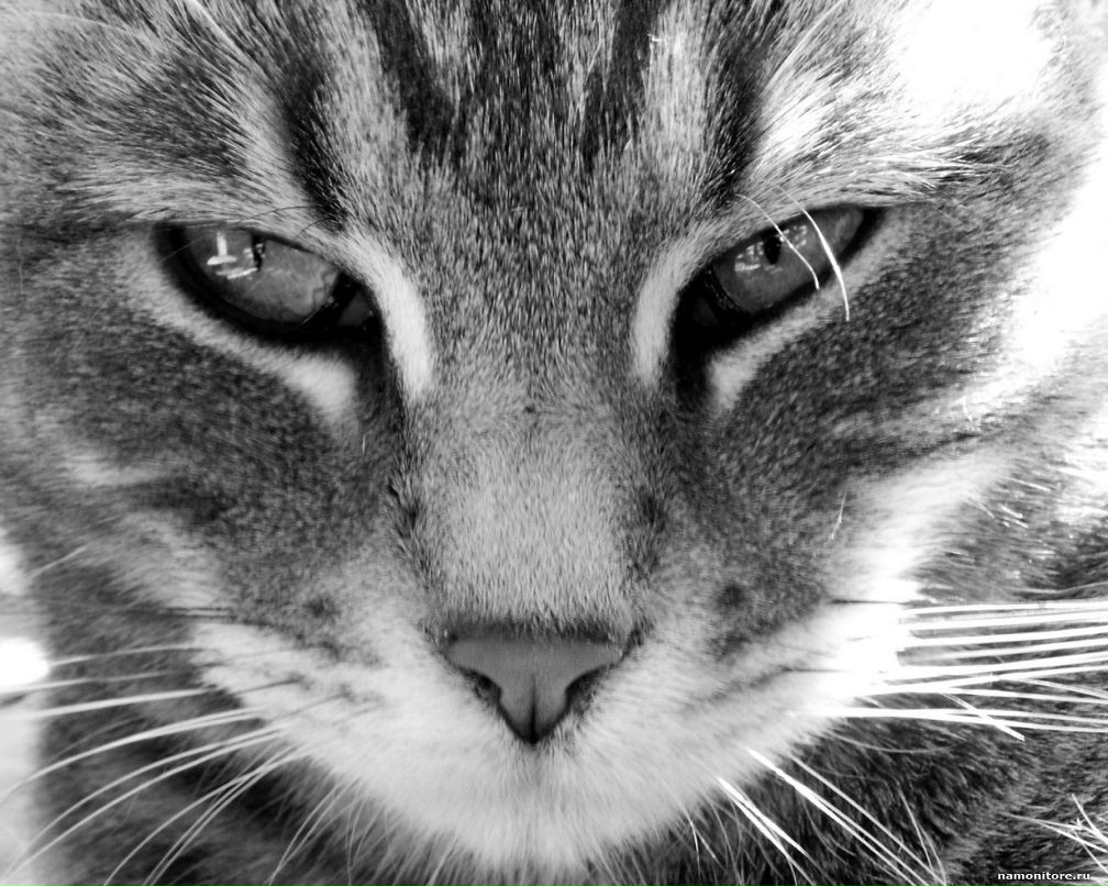 Лариса Тян *Lori* | Хабаровск