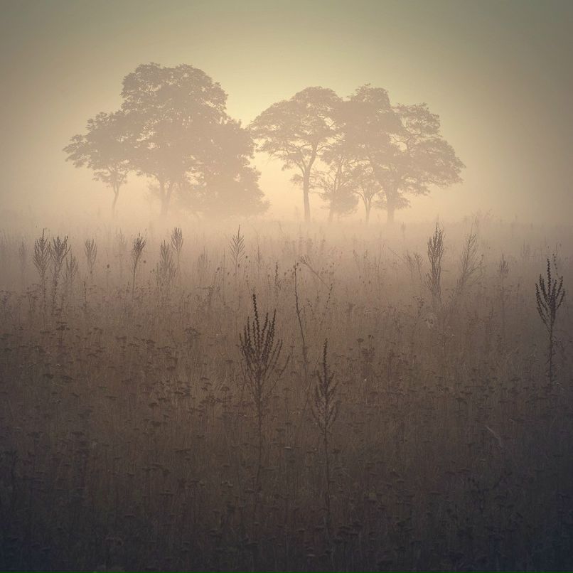 Юлия Башкатова | Макеевка