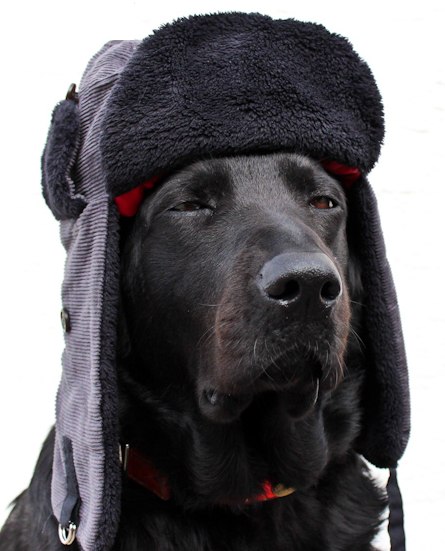 Егор Ерохин bjgdjkbnfgdrkjbngifdbjhkgjdnbfgrfecaldestroyer | Москва