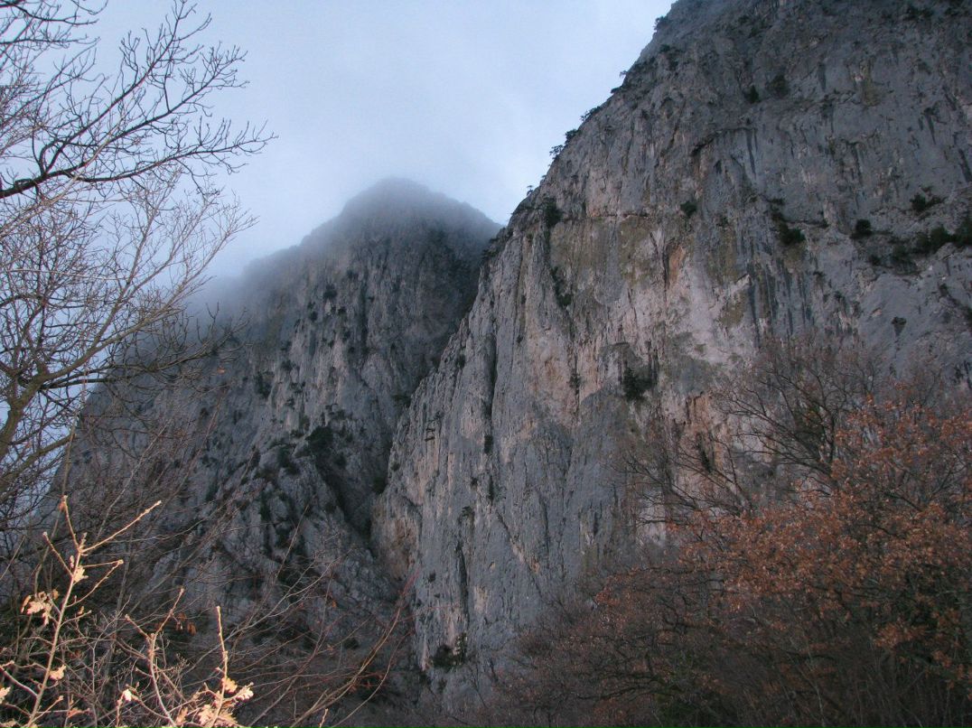 Руслан Прашкович | Севастополь