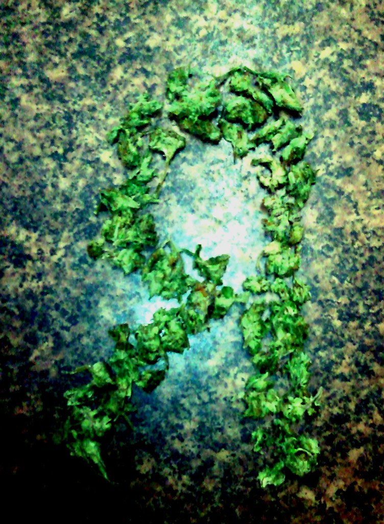 Петр Гюнтов Сергеевич | Санкт-Петербург