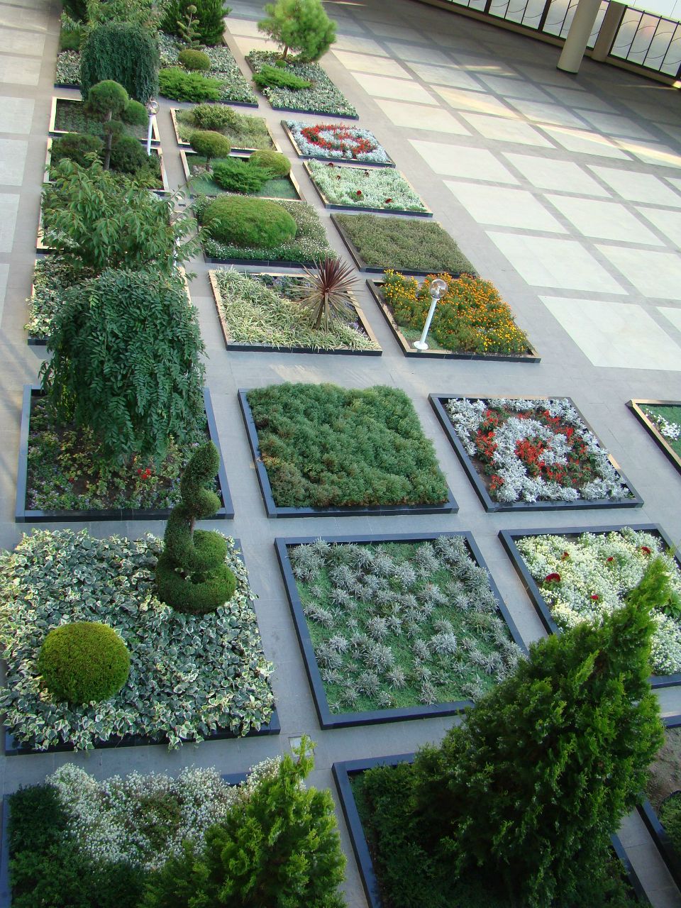 Александр Петров | Санкт-Петербург