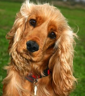 Елена Шулакова | Омск